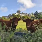 Mobil-home Confortable, Acces Handicape - 4 Pers. - Api-1-52-2023 Campingplads *