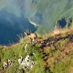 Mobil-home Confortable, Acces Handicape - 4 Pers. - Api-1-52-2023 *