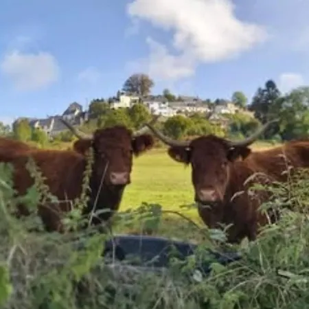 Mobil-home Confortable, Acces Handicape - 4 Pers. - Api-1-52-2023 Campsite *