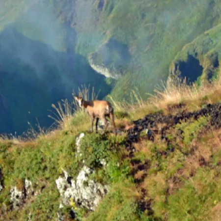 Mobil-home Confortable, Acces Handicape - 4 Pers. - Api-1-52-2023 *