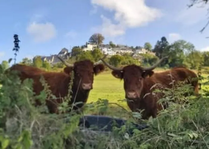 Mobil-home Confortable, Acces Handicape - 4 Pers. - Api-1-52-2023 Campsite *