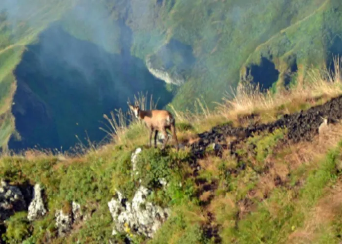 Mobil-home Confortable, Acces Handicape - 4 Pers. - Api-1-52-2023 *